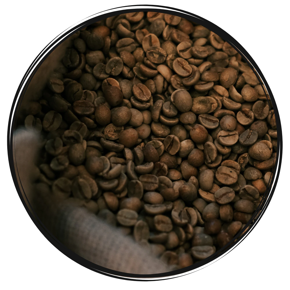 Café Grain Mexique, Honduras, Colombie, Torréfaction France